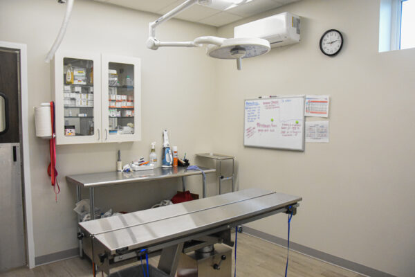 Barnes Lake Veterinary Center_03