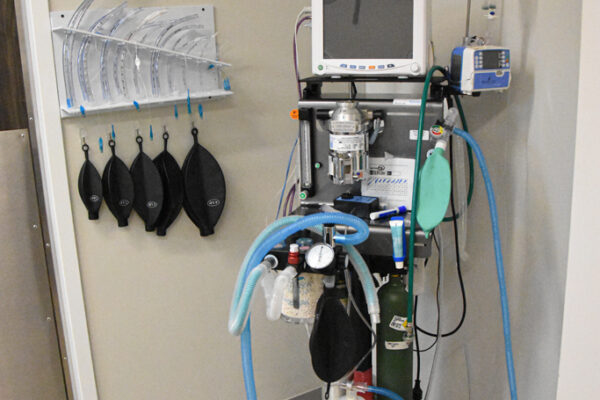 Barnes Lake Veterinary Center_04