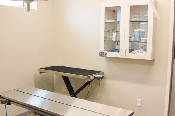 Barnes Lake Veterinary Center_05