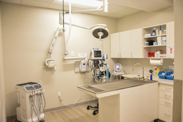 Barnes Lake Veterinary Center_06