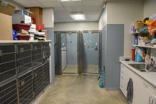 Barnes Lake Veterinary Center_07