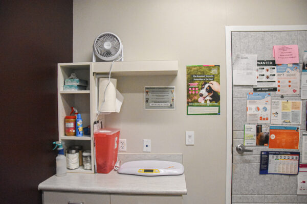 Barnes Lake Veterinary Center_16