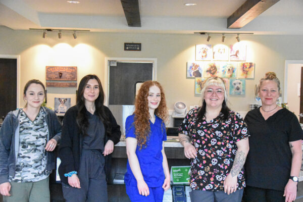 Barnes Lake Veterinary Center_22